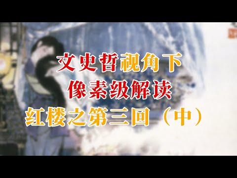 文史哲视角下像素级解读红楼之第三回（中篇）#名著 #红学 #曹雪芹 #贾宝玉 #林黛玉  #history #文学经典 #中国古典文学 #文学 #哲学 #历史 #红楼梦 #贾雨村