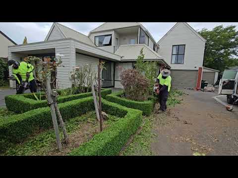 WEEDS Have Smothered This BEAUTYFUL Property.