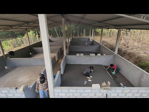 Time-lapse video summarizing the process of building a pig farm
