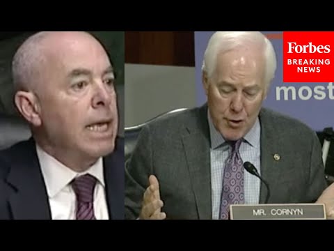 'Hang On A Minute, Hang On A Minute!': Mike Lee, Mayorkas Clash Over Continued Border Migrant Surge