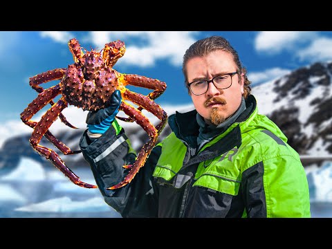 I Cooked In The Arctic Circle