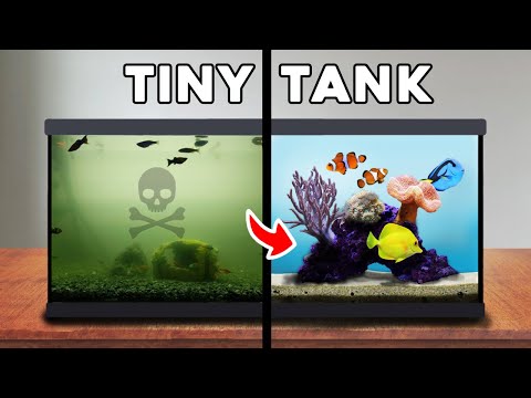 I Broke the Forbidden Fish Rule