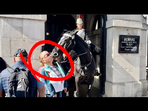 YES! BRAVO, Get ‘em ORMONDE ATTACK