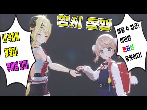 이번만 숙성 로리신 동맹이다!! 【홀로라이브-와타메,우이마마】