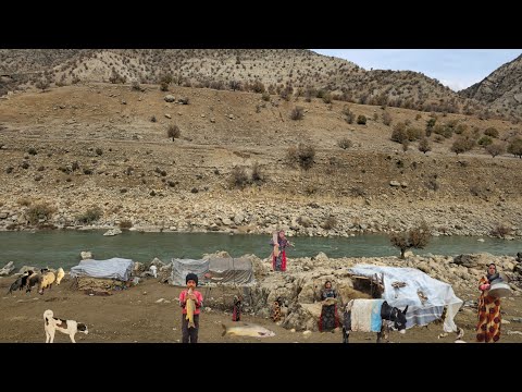 Nomadic life:Building a donkey house on rainy days single nomadic girls cleaning yard River Khersan