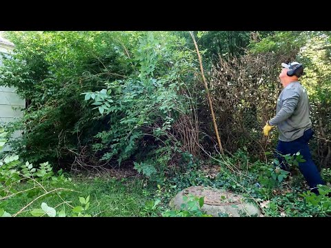 City Property INVADES Homeowner's Backyard Knocking Down Fence
