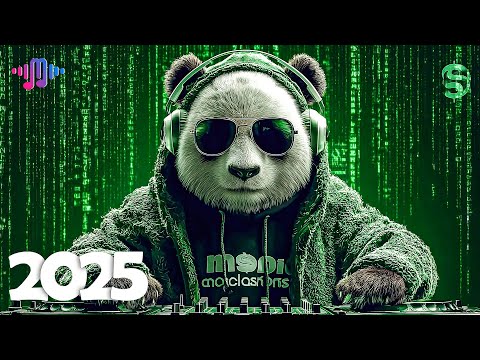 Best Music Mix 2025 🎧EDM Bass Boosted Music Mix 2025 🎧EDM Remixes of Popular Songs