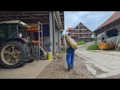 NEW INTERN ESCAPES FROM FARM IN SWITZERLAND