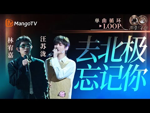 【声生不息循环不停】#林宥嘉 #汪苏泷《去北极忘记你》 一小时LOOP｜《声生不息·华流季》Infinity And Beyond·Mandopop｜ MangoTV