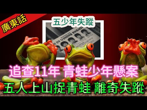 【懸案】| 韓國三大懸案之一，青蛙少年懸案！五個人上山捉青蛙，離奇失蹤11年後先被發現！死狀奇怪，死因成謎！#案件 #案件解說 #真實故事 #懸案破解 #懸案調查