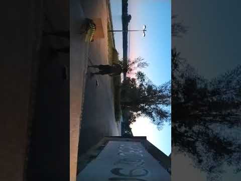 Protest 2025 07 19 wien