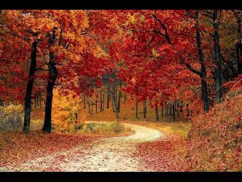 Albinoni, Adagio in G minor