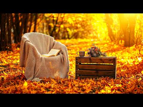 Beautiful Autumn Piano Music for Deep Relaxation 🍂 Calm Your Nervous System & Find Inner Peace