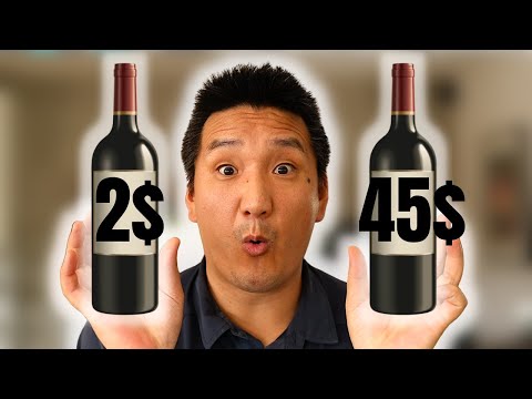 CHEAP vs. EXPENSIVE MERLOT Red Wine | What's the Difference?