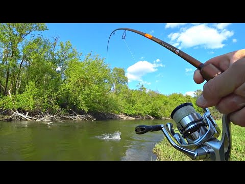 ЭТОТ МОНСТР СОЖРАЛ ПРИМАНКУ И СОГНУЛ СПИННИНГ В ДУГУ. Трофейная рыбалка среди коряг на малой реке!