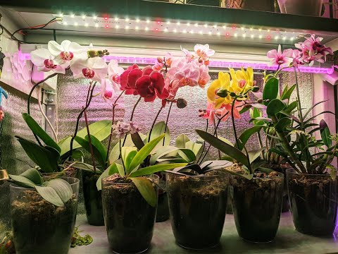 ОБЗОР МОИХ ФИТОЛАМП. ПОДБОР И ВЫБОР #ФИТОЛАМПЫ. ФИТОЛАМПЫ В ЗИМНЕМ ОГОРОДЕ. ОТВЕТ НА ВСЕ #ВОПРОСЫ