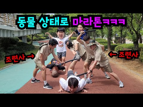 두발로 걸으면 맴매! 동물 마라톤ㅋㅋㅋ