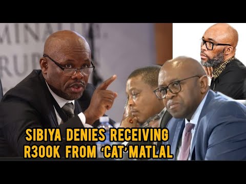 Watch Gen. Sibiya rejects claims Matlala gave him R500k cash