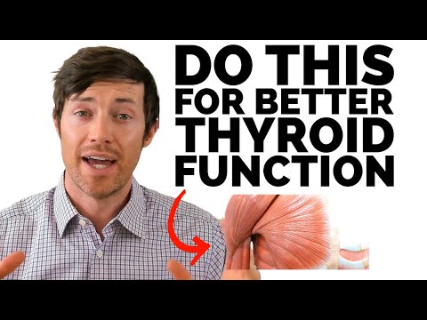 Fix your thyroid with more muscle mass