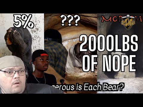 Every Bear and Its Chances of Retiring You From Life from Casual Geographic - Reaction