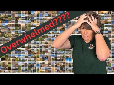 Could Excire Foto Be Your Ultimate Photo Organizer?