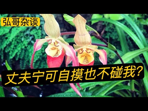 女网友吐槽日本丈夫的龌龊行为,他是不是病了?另外,在当今婚姻多元化的时代,身体忠诚模式只是选项之一。