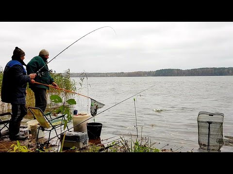 Закрытие Сезона. Отличный Клёв в Ноябре. Рыбалка с Ночевкой на Фидер на Чигиринском Водохранилище.