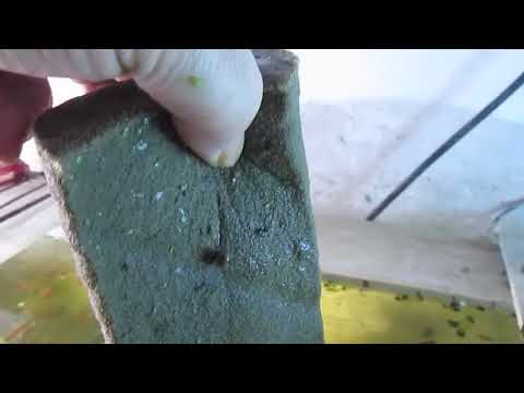 водяная помпа. аквариумистика.