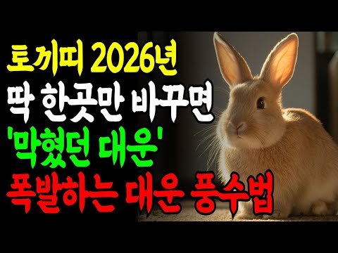 [2026 토끼띠 풍수] 이 곳 딱 한 곳만 바꾸면 2026년 돈 길이 활짝 열립니다ㅣ풍수 금전운 상승 #풍수비법 #풍수 #재물운상승 #부자되는법 #풍수인테리어 #풍수소품