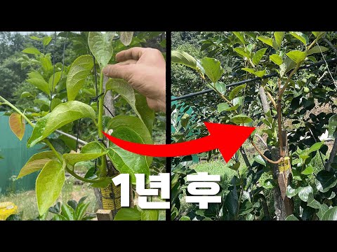 See the incredible growth rate after one year of drilling | The importance of government dominanc...