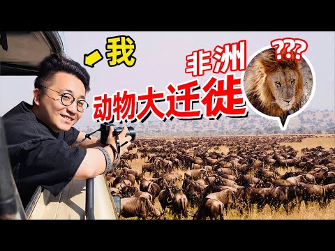 坦桑尼亚旅行参考：飞18个小时去非洲看动物大迁徙值得吗？｜酒店选择🏨摄影器材📷花费💴跟团VS自由行｜LIKEMUSIC王也