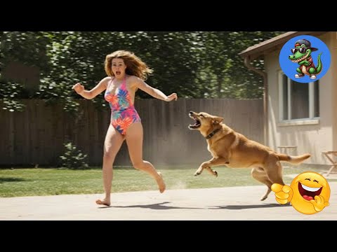 VERSUCHE NICHT ZU LACHEN !!! 🤣🤣🤣 #68