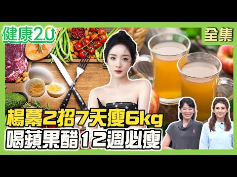 楊冪吃蛋+低醣飲食7天瘦6kg！韓星204斷食瘦60kg！田麗空腹喝油瘦10kg！研究喝蘋果醋12週必瘦！健康2.0 20251018【完整版】#陳欣湄#韋汝#周建存#劉怡里#吳明珠#Miya#陳之穎