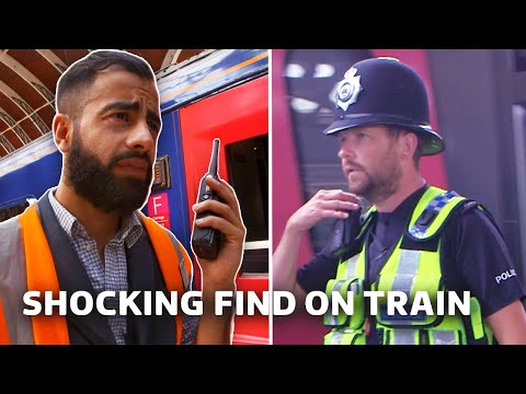Unexpected Train Delays Hit After Pigeon Strike | Paddington 24/7 | S1 E2 | Our Stories