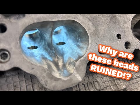 Did Stevie Wonder start porting heads?!