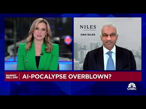 Money manager Dan Niles suggests more trouble ahead as Nvidia sells-off over DeepSeek jitters