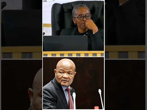 “Minister Senzo Mchunu tried to recruit me” Witness E