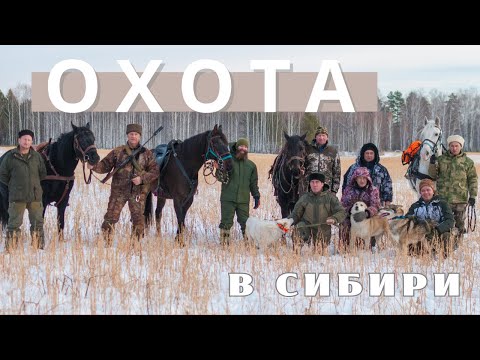 На лошадях за лосем. Конная охота | Александр Обжерин
