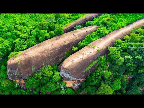 When Discoveries Baffled Scientists