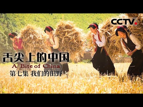 《舌尖上的中国》第一季 A Bite of China EP7 我们的田野【CCTV纪录】