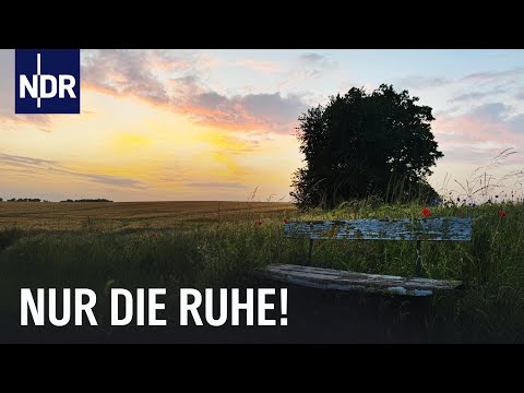 Sommer in MV: Besondere Menschen an der Peene | die nordstory | NDR Doku