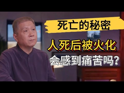 人死後被火化的過程會感到痛苦嗎？死後世界究竟是什麽樣子？輪回轉世真實存在嗎？#觀復嘟嘟 #馬未都 #圆桌派