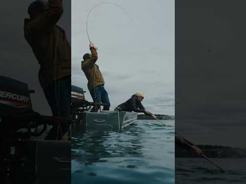 Ice off fly fishing in British Columbia #flyfishing #subsistence