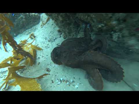 Blowing bubbles somewhere in Port 3/5/19