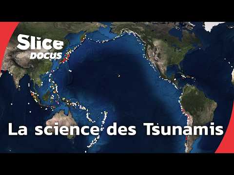 Dans le sillage des Tsunamis | SLICE DOCUS