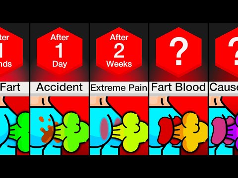 Timeline: What If You Never Stopped Farting?