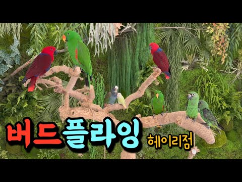 [지구젤리/앵카] 버드플라잉 헤이리점 다녀왔어요! 케이크 맛집🍰 사진 맛집📷