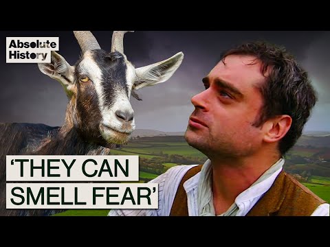 Surviving A Year As A 1900s British Farmer
