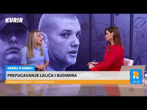 ANALIZA SVEDOČENJA LALIĆA PROTIV KLANA BELIVUK-MILJKOVIĆ! Savić: Lalić je jako inteligentan