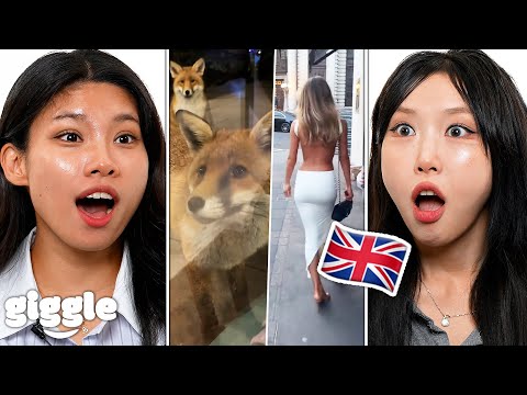 Koreans React to "UK IS NOT A REAL PLACE"..!